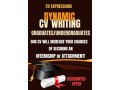 professional-cv-writing-small-2