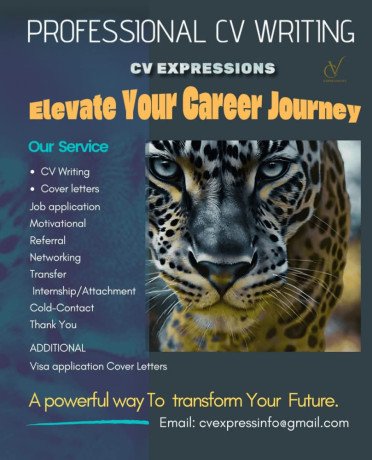 professional-cv-writing-big-1