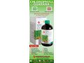 liquid-chlorophyll-plus-guarana-small-3