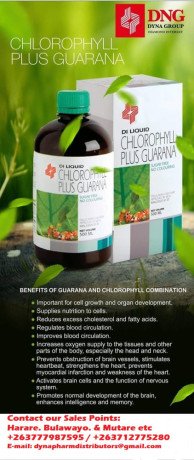 liquid-chlorophyll-plus-guarana-big-2