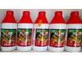 di-grow-liquid-foliar-fertilizere-small-1